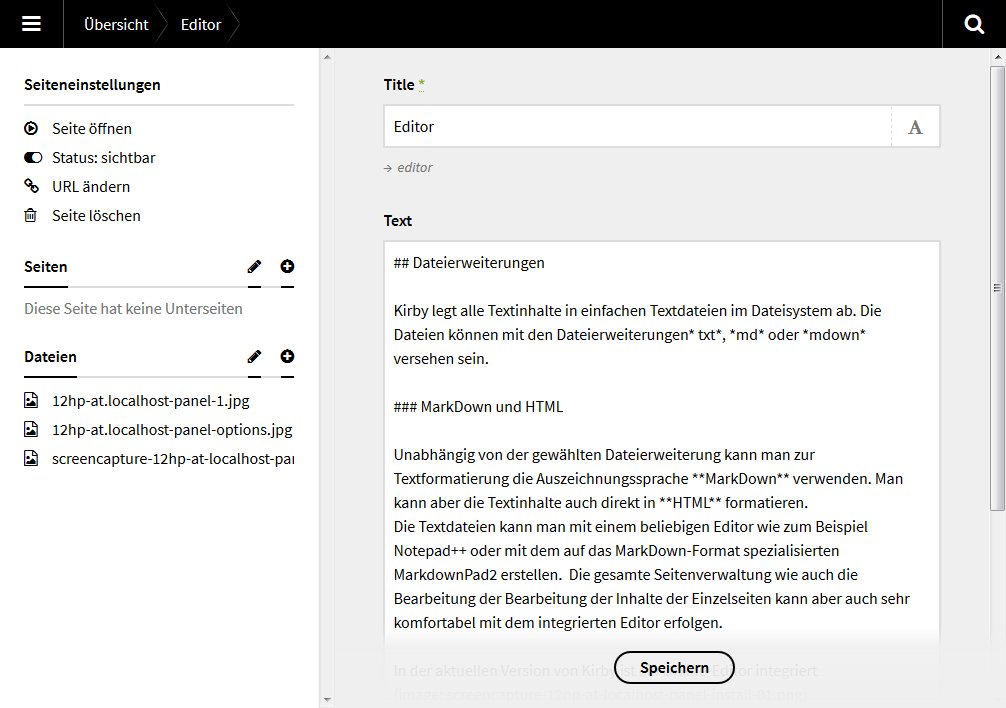 12hp-at.localhost-panel-pages-editor-edit
